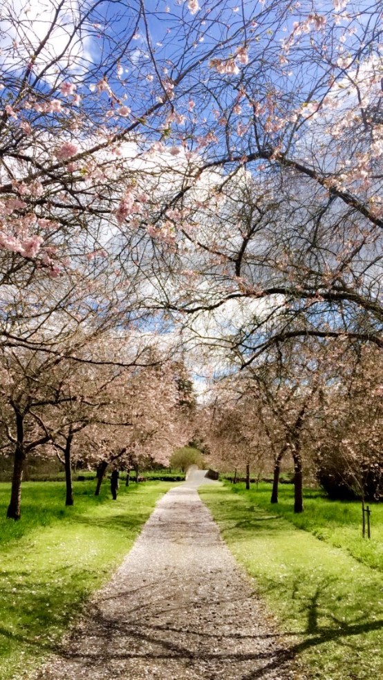 Birr Castle and Gardens 5