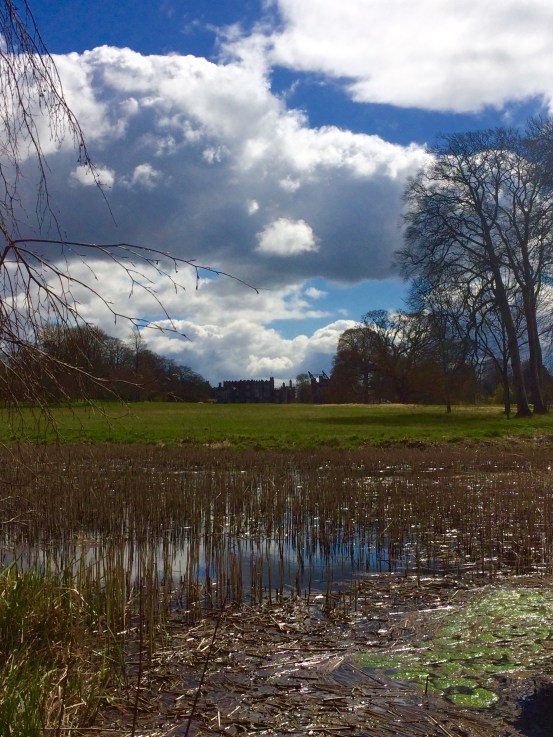 Birr Castle and Gardens 6