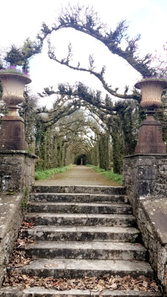 Birr Castle and Gardens 7