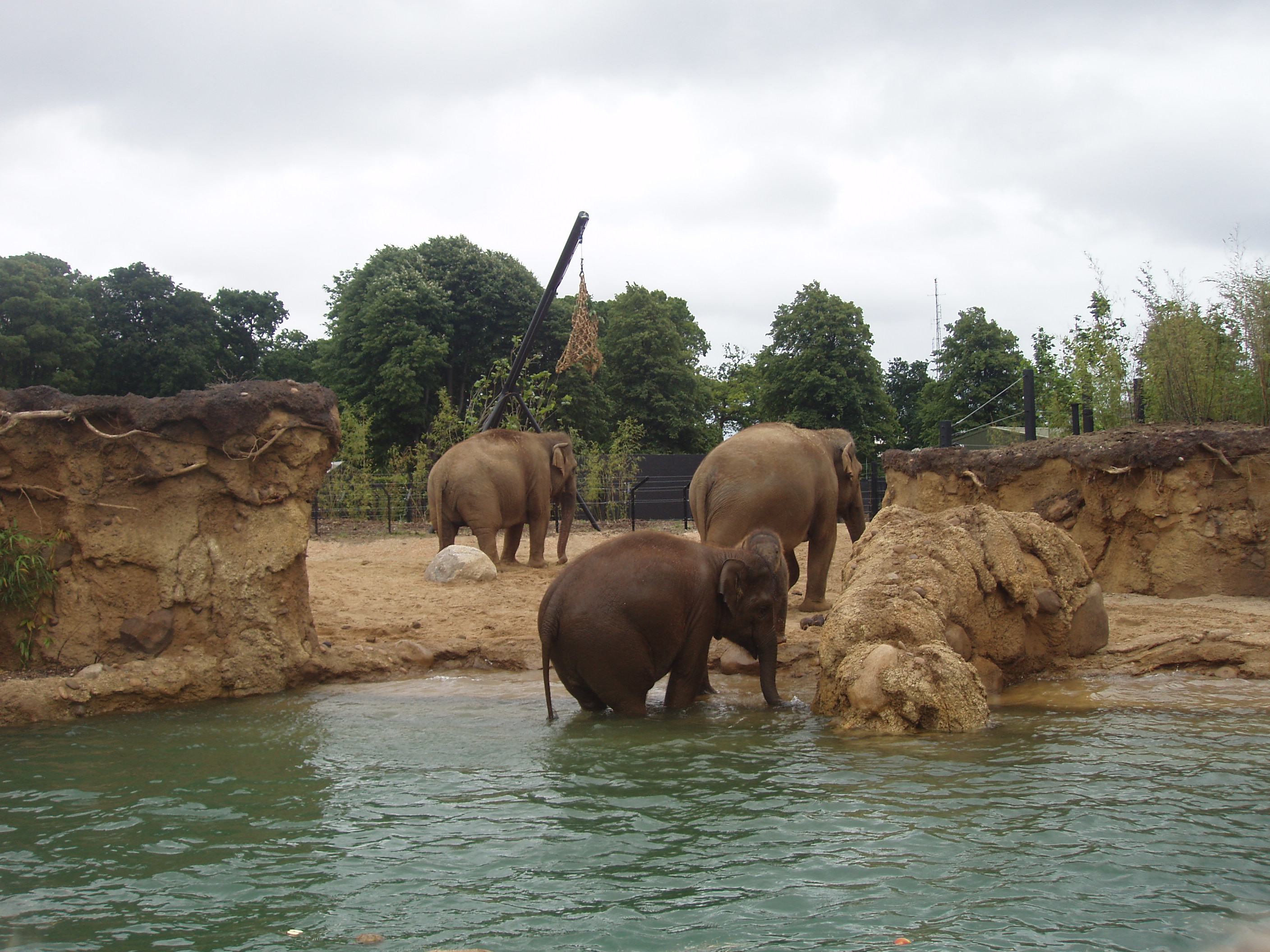 OLYMPUS DIGITAL CAMERA