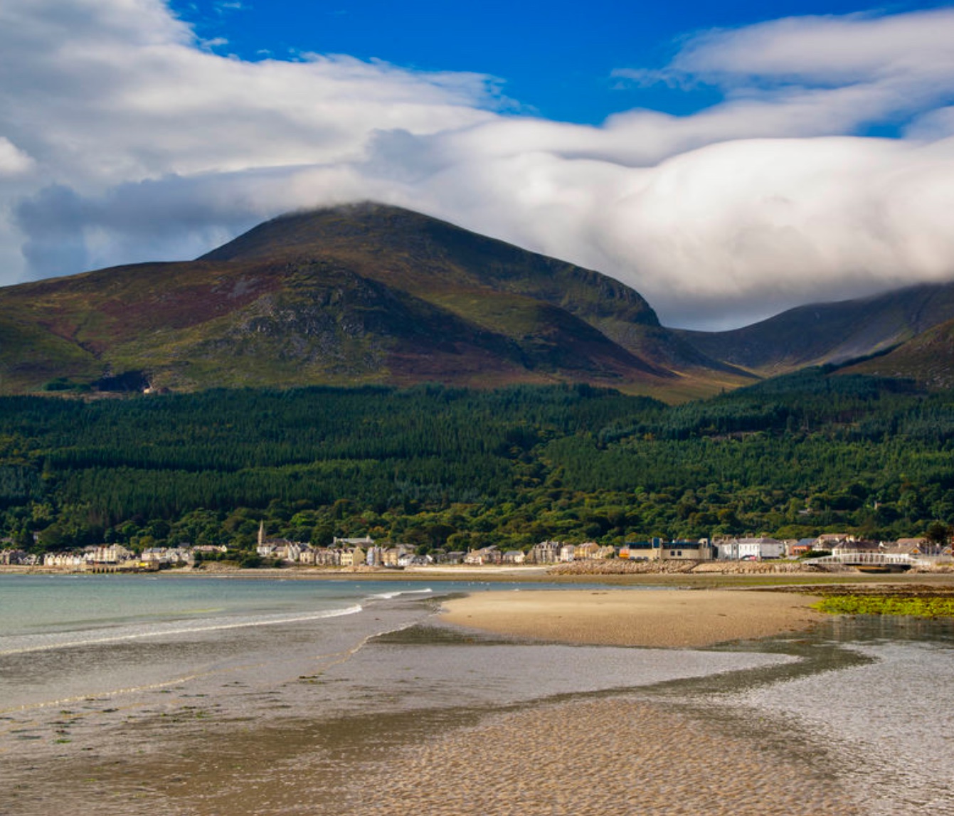 2E390939-00E9-492B-9D2F-BD1D132B3433